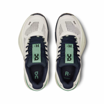 On Running THE ROGER Pro White/Aloe