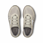 On Running Cloudmonster Ice/Alloy